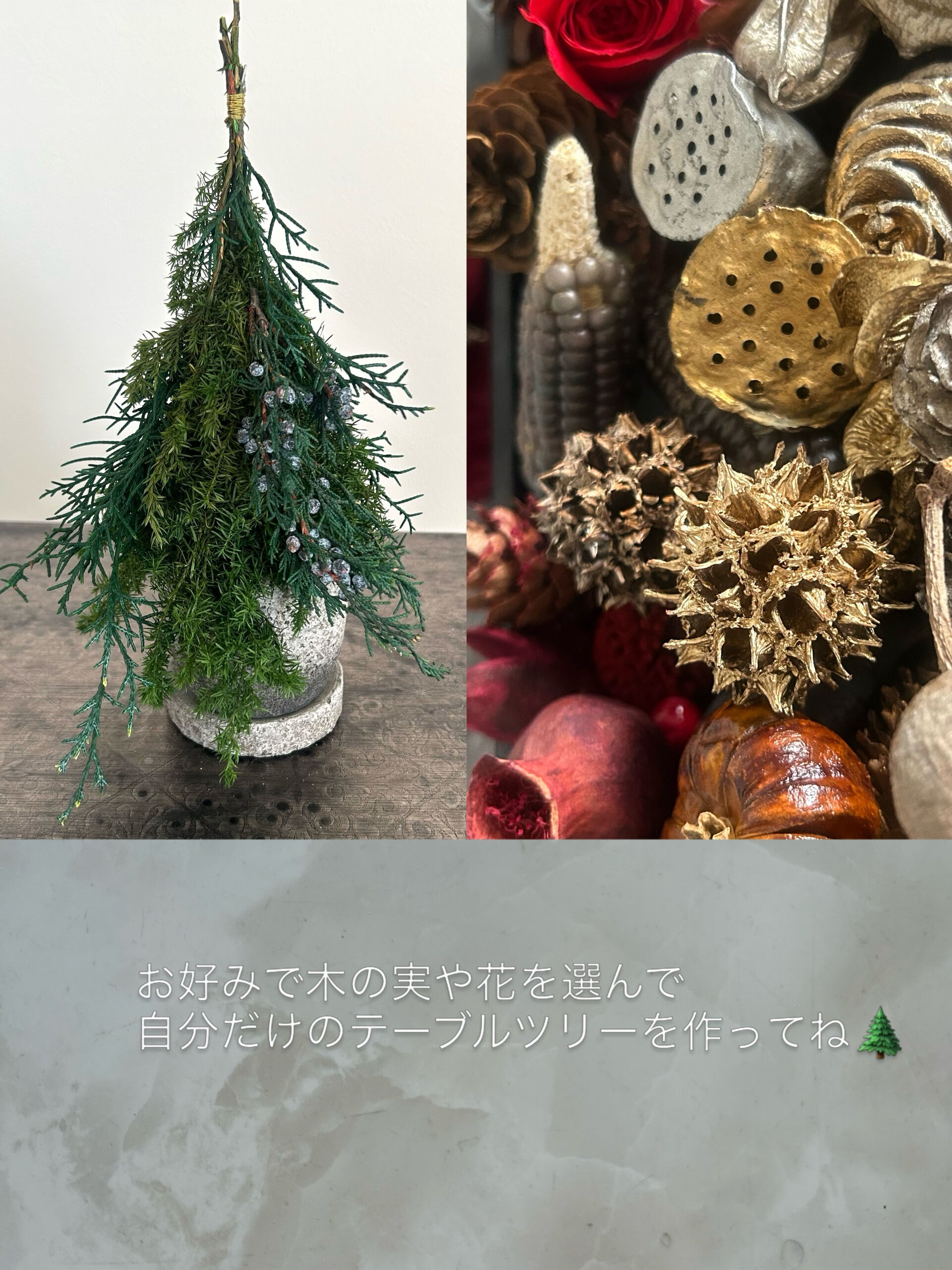 【Noël 森のテーブルツリー🌲】