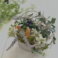 画像3963：126ノスタルジーMサイズae＋2,200