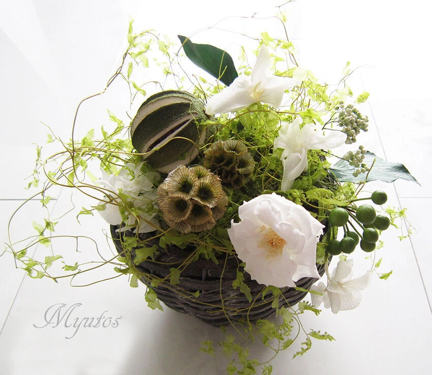 2015新緑nature3.jp