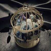 画像9319：126ノスタルジーMサイズae＋2,200